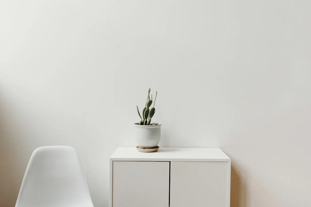Minimalist entryway design with white walls, wooden bench, and single mirror