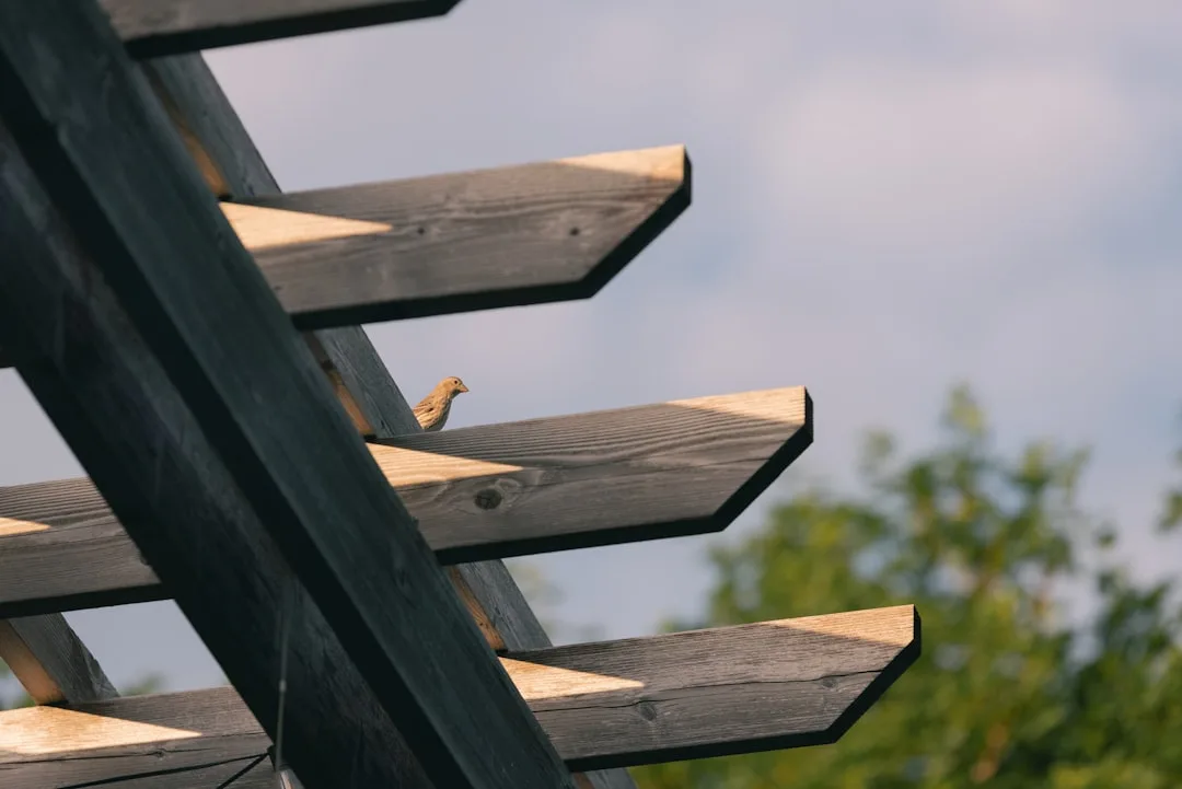 How Arbor Designs Are Anchoring Modern Landscapes in 2026