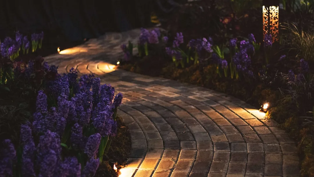 outdoor accent lighting patio uplighting — Patio & Yard perspective 1