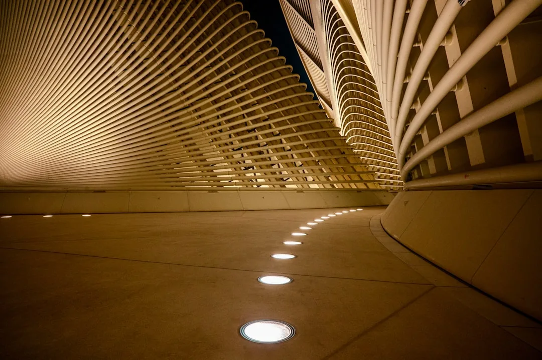 RGB recessed lights accent focal point planting in contemporary garden