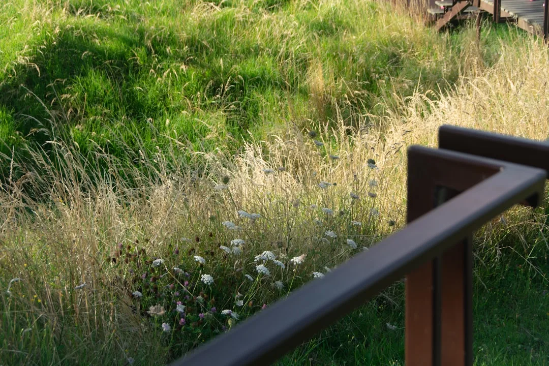 curved metal garden edging in residential corner bed with perennials