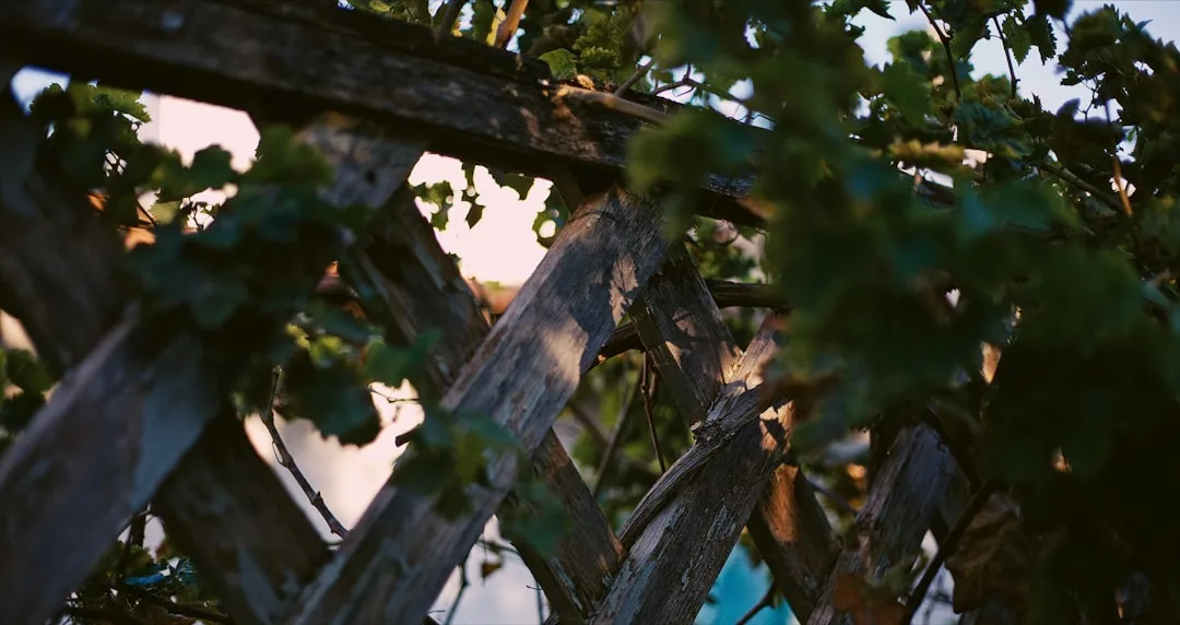 Close-up of steel arbor frame showing geometric lines and weathered patina