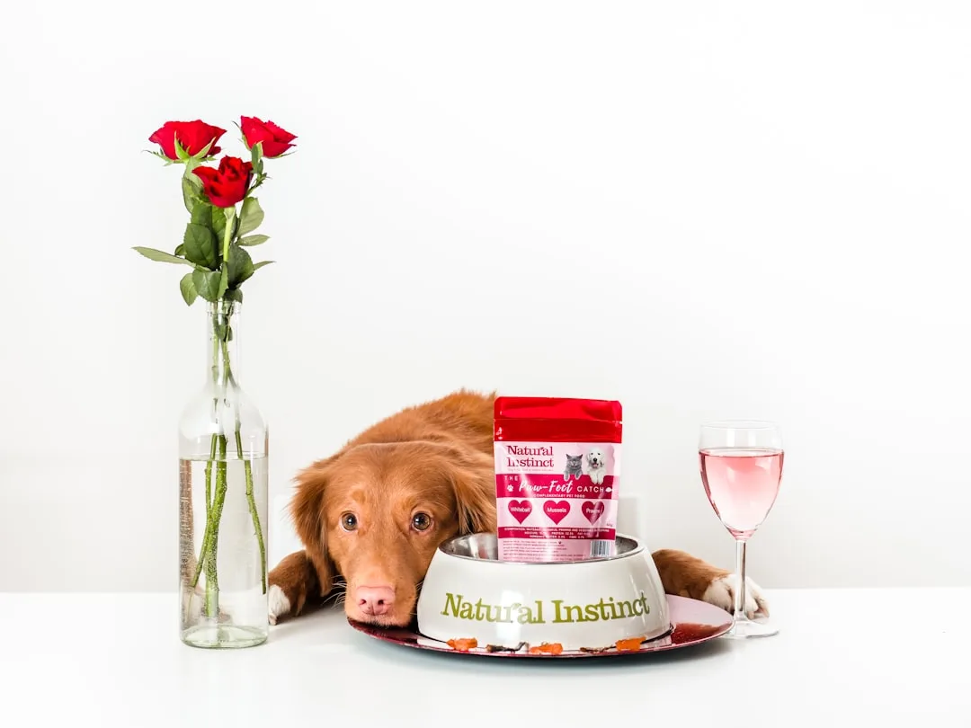 Detailed pet food bag label showing AAFCO certification protein sources