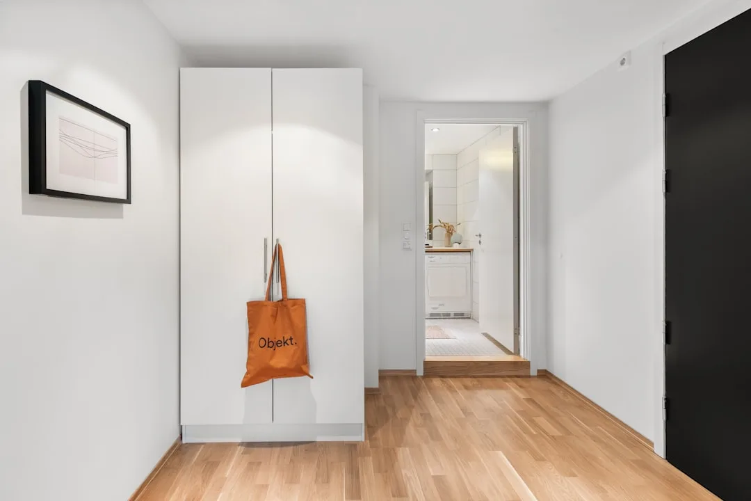 Minimalist entryway design featuring brass hook and concrete floor