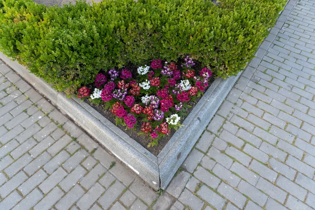 Corner Garden Edging Defines Modern Landscape Boundaries Without Rigid Geometry