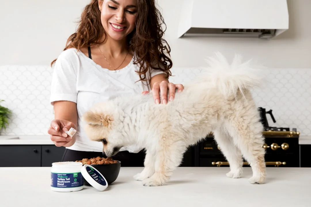 Veterinary nutritionist examining raw ingredient components pet food
