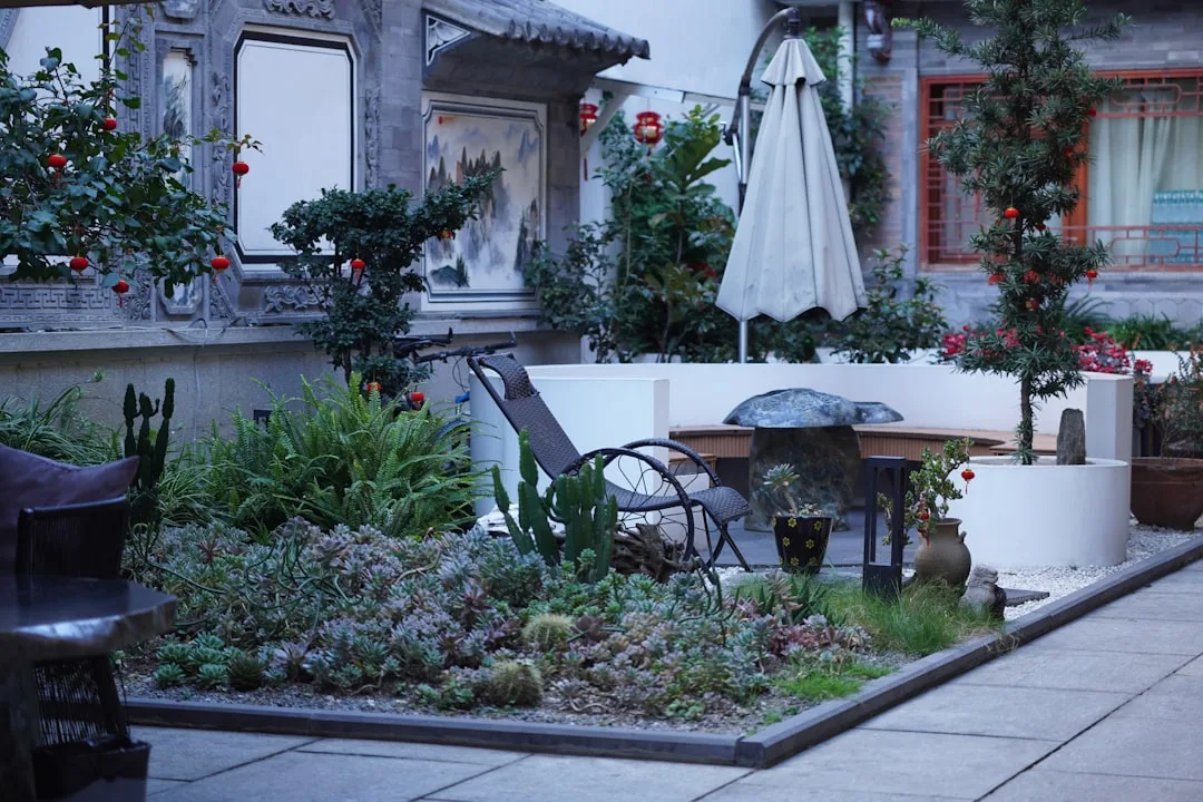 Modern shaded courtyard with paving stones and strategically placed specimen trees
