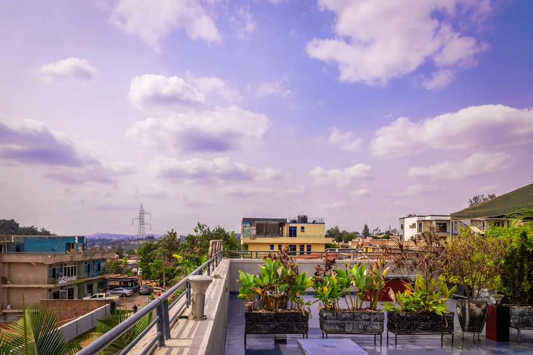 Minimalist rooftop lounge space with seating wellness amenities overlooking urban landscape