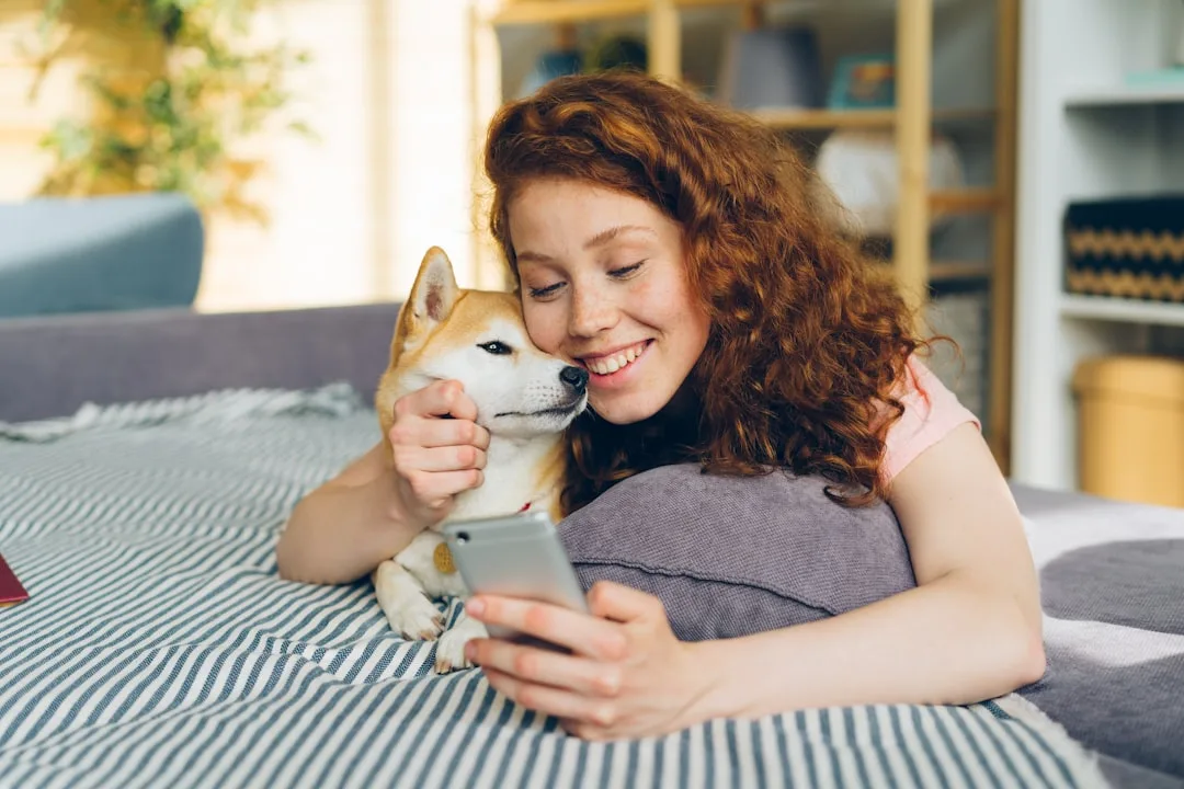 pet owner using training app smartphone — Pets perspective 1