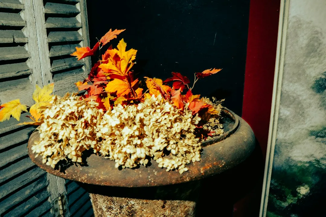 autumn container plants fall transition layering — Garden perspective 1