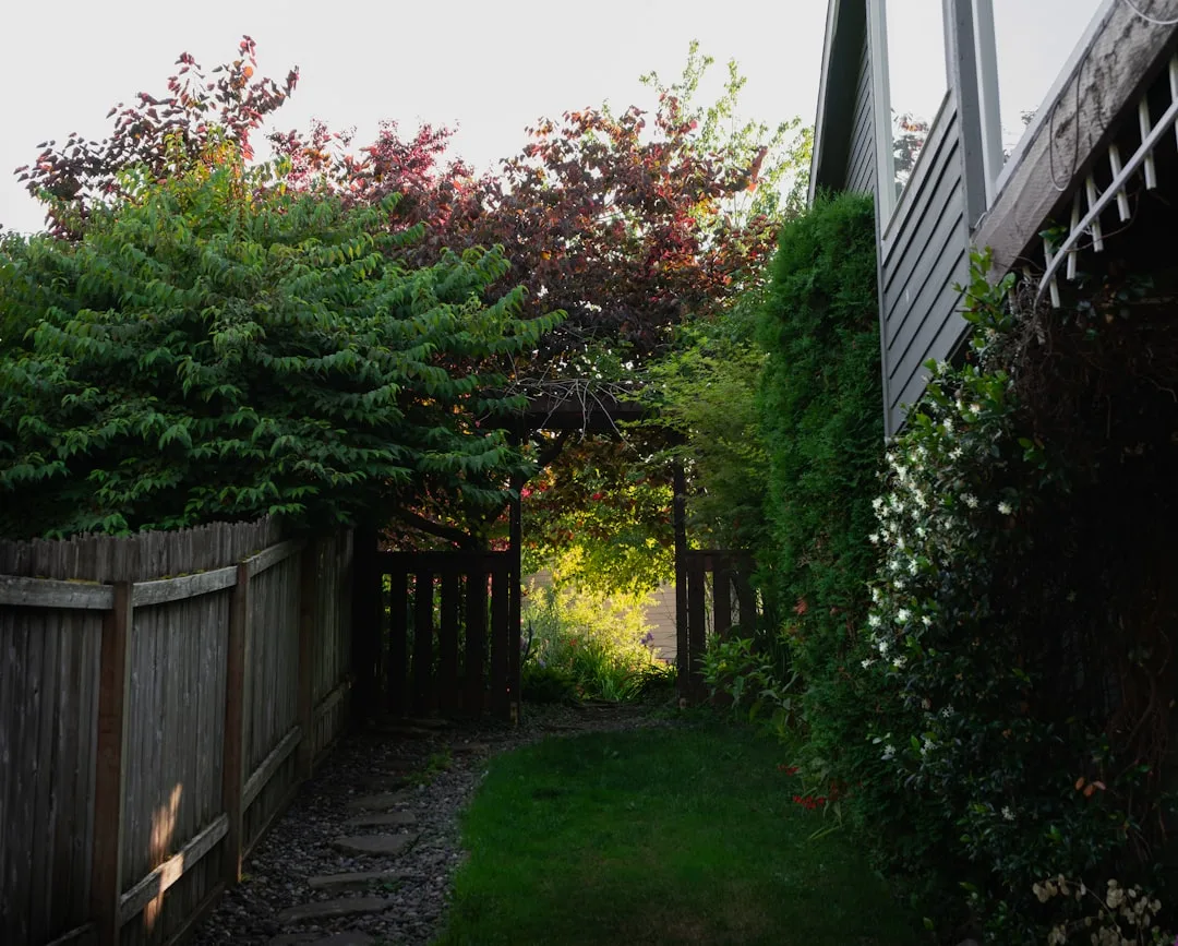 Composite acoustic panel fence with integrated climbing vines and modern seating arrangement