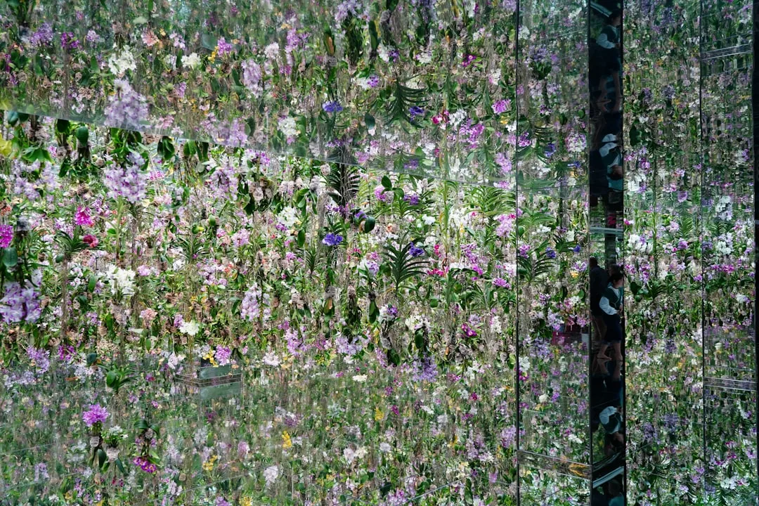 Close-up of fragrant lavender flowers and soft feathery grass texture