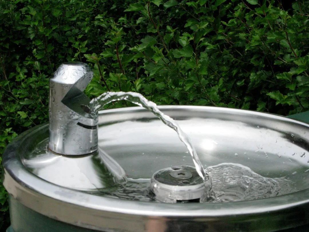 Modern pet hydration system with automatic refill and monitoring features