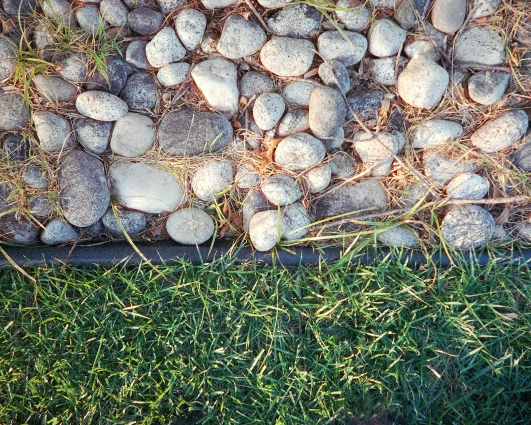 outdoor yard edging metal borders patio — Patio & Yard perspective 2