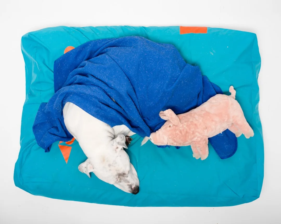 Multiple thermal comfort products arranged on white background including cooling gel mat and heated bed