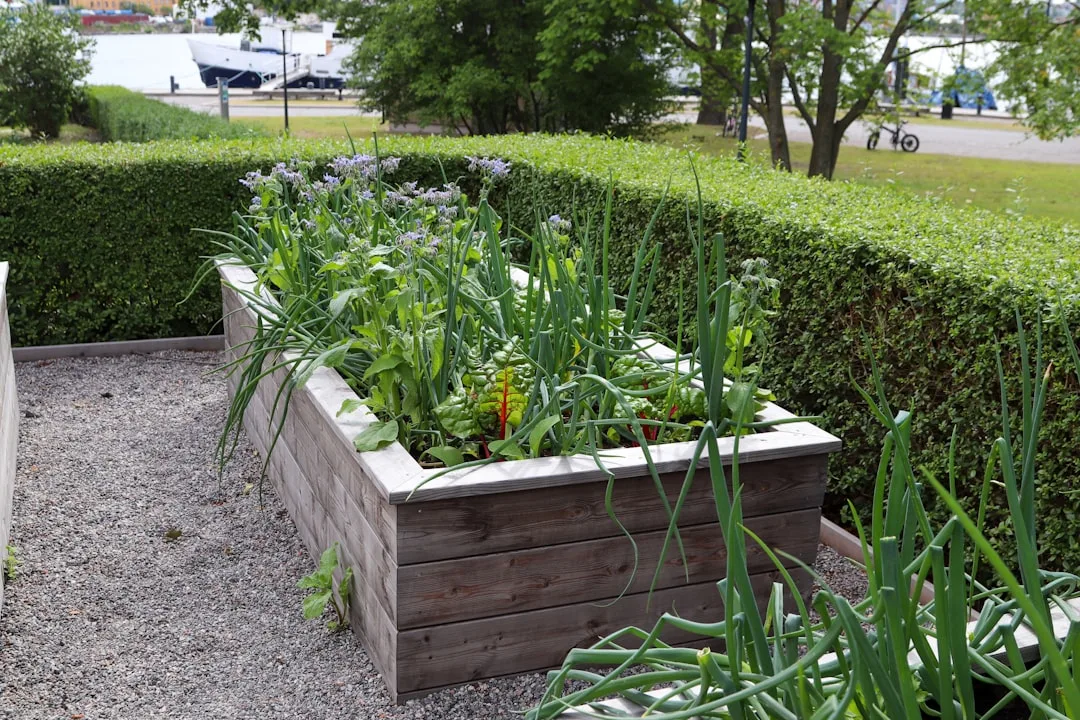 modern raised garden beds landscape design — Landscape & Exterior perspective 2