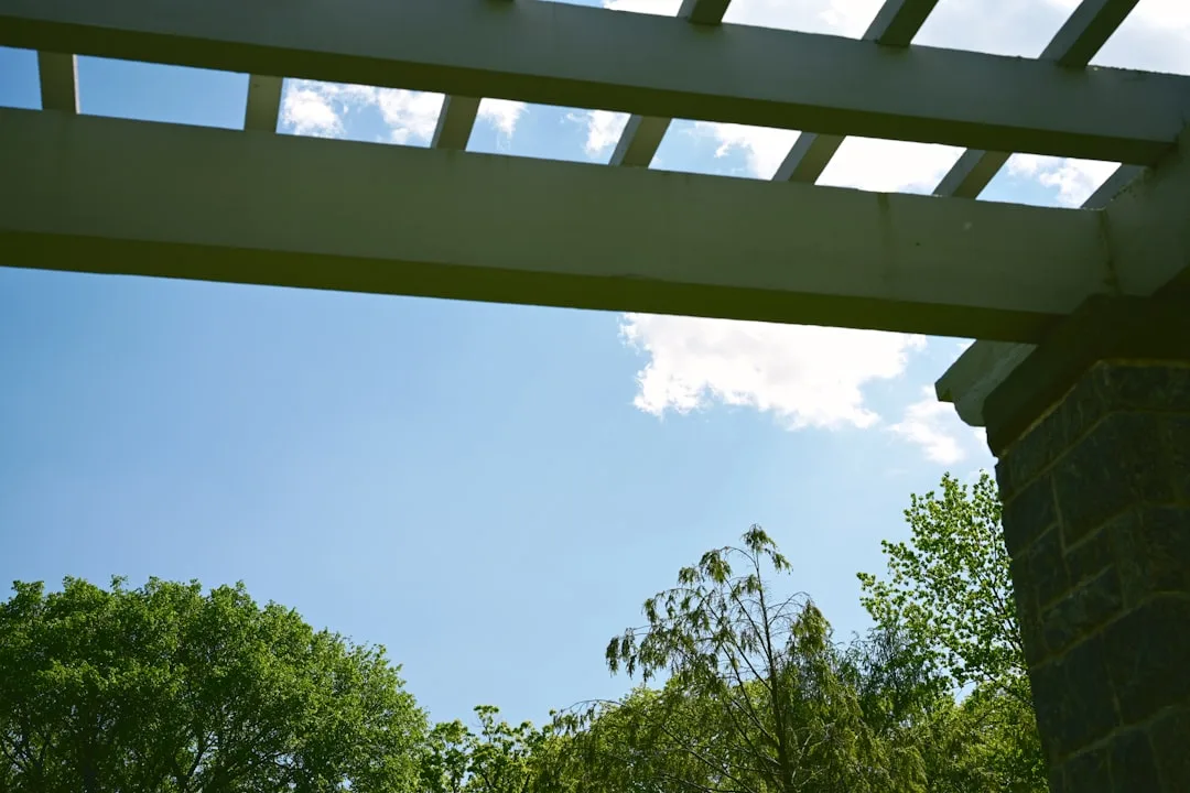 Backyard arbor shade structure casting dappled light on patio seating area