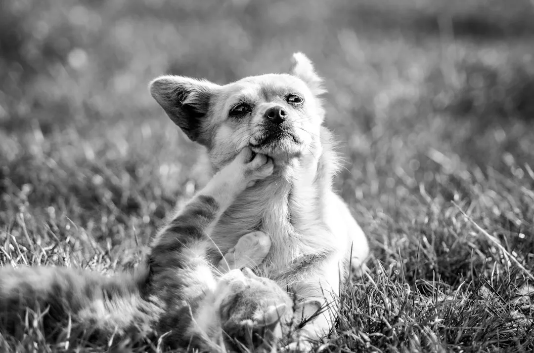 Owner reviewing detailed pet allergen sensitivity report on tablet