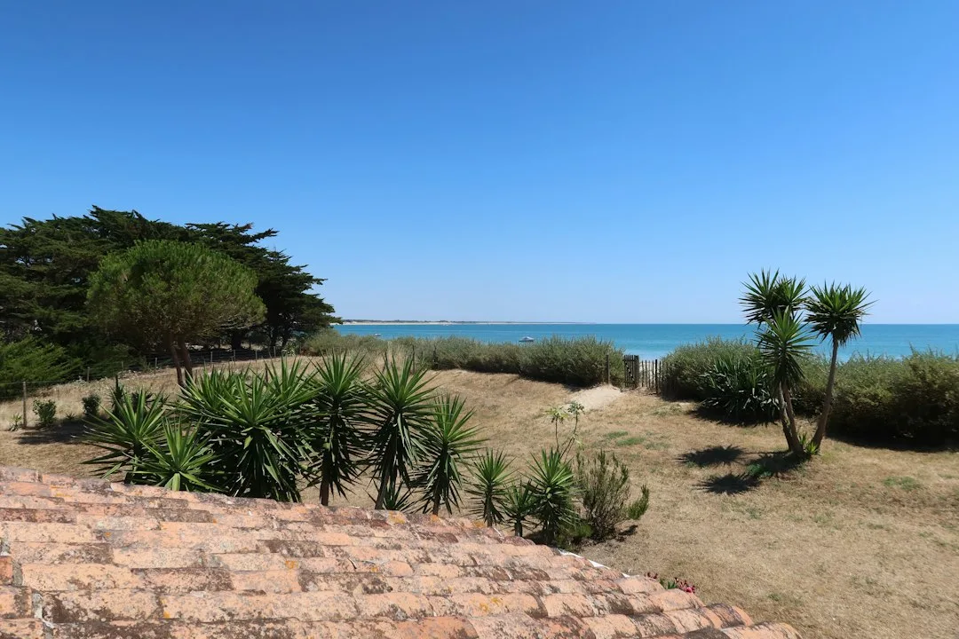 Coastal landscape design featuring salt-tolerant plants and gravel pathways