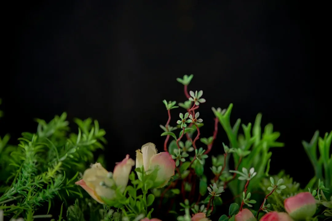Compact micro perennials densely planted in raised stone courtyard bed with gravel mulch