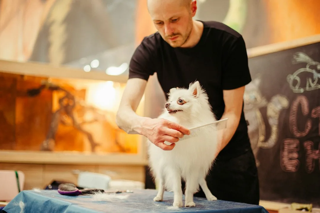 Owner using slicker brush on double-coated dog following recommended grooming frequency timeline