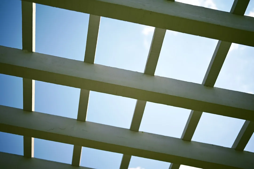 Contemporary arbor shade structure with modular wooden frame and climbing vines