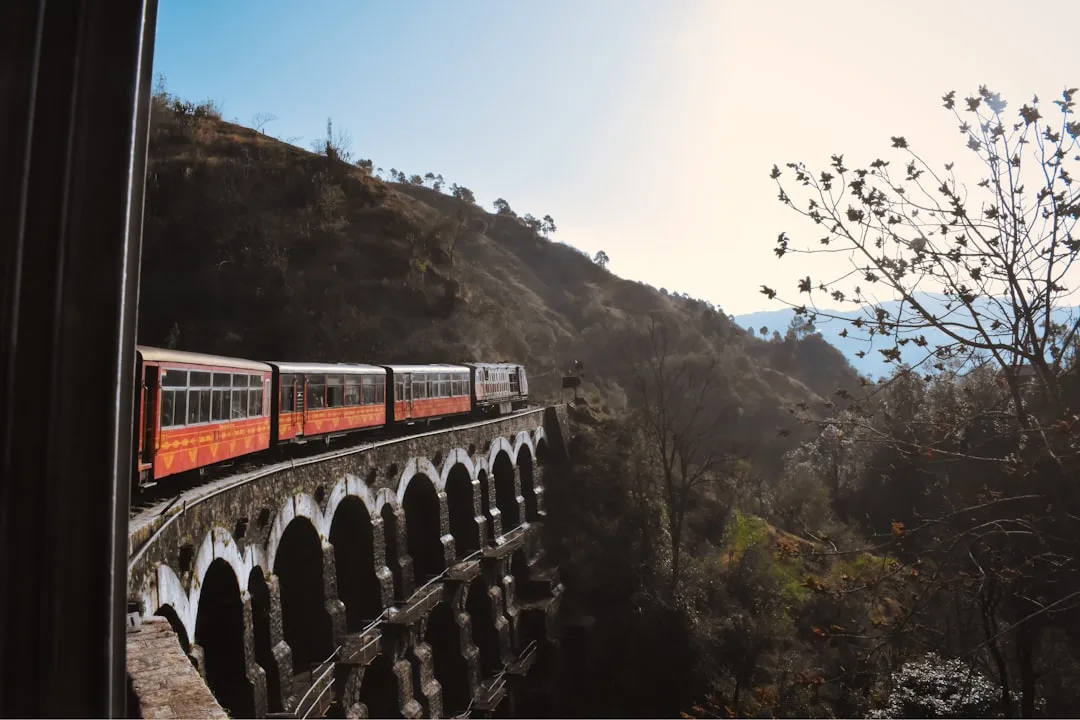 Regional train pass ticket showing multi-country rail access across Asia