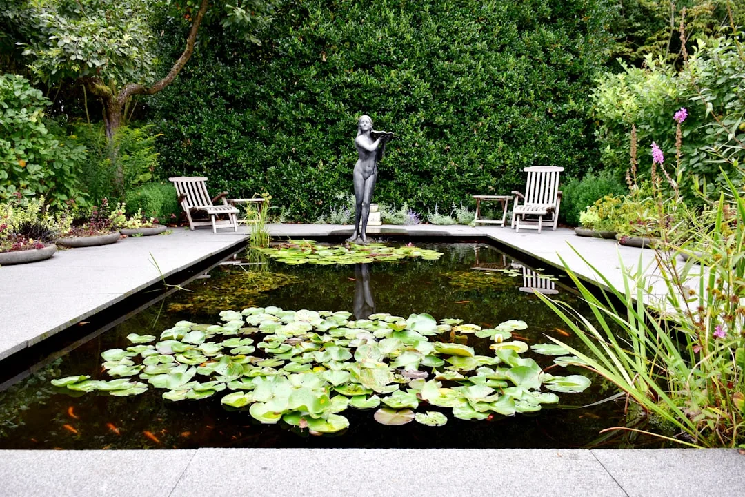 Small residential patio pond with lily pads and surrounding native plantings