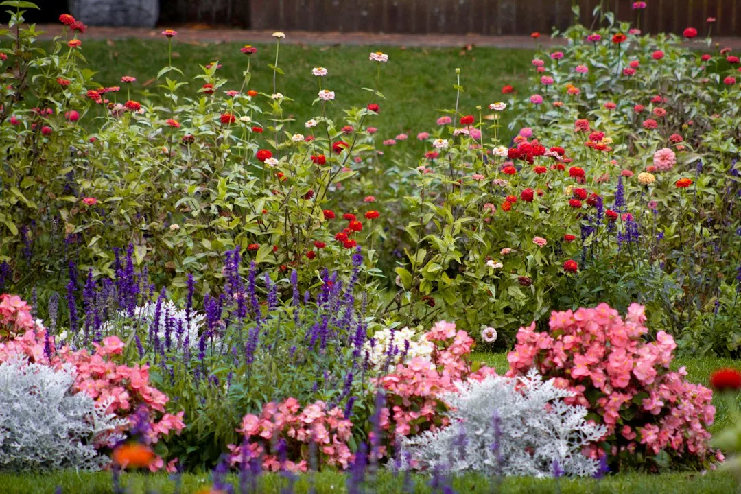 Autumn Perennial Garden Transitions Redefine Seasonal Color Strategy