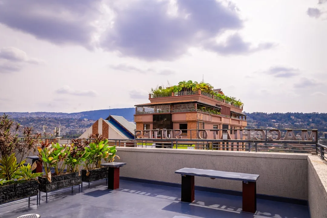 Rooftop garden retreat feature at boutique hotel showing shared community travel experience