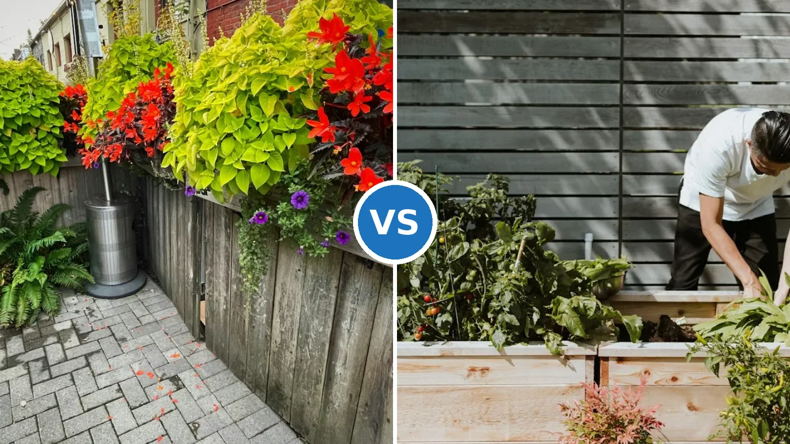 Side-by-side view of a container garden vs raised bed in a backyard