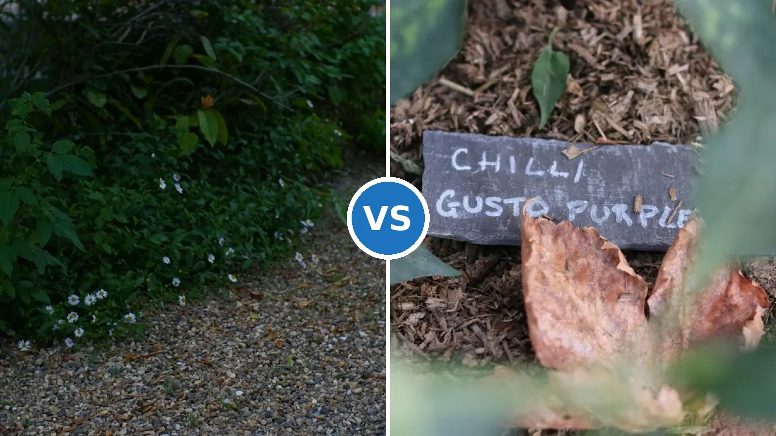 Gravel vs Mulch Beds for a Yard That Needs Less Work