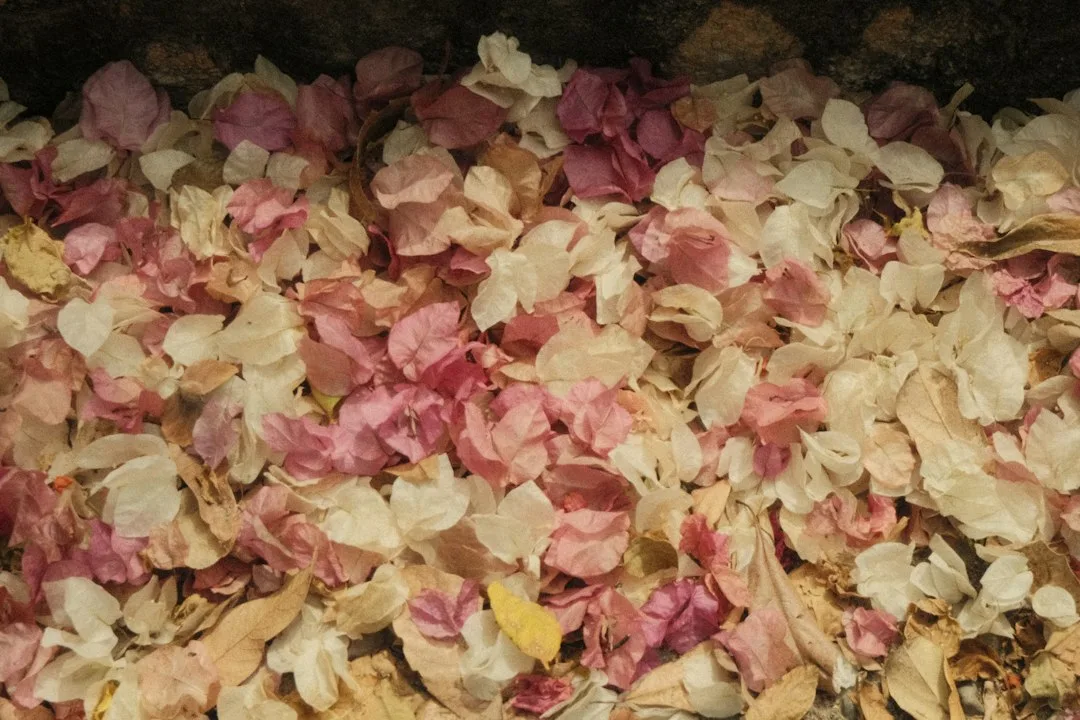Close-up of pink and cream dried rose petals in a woven wedding basket