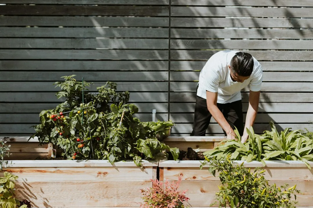 Why Raised Garden Beds Are Replacing In-Ground Vegetable Plots