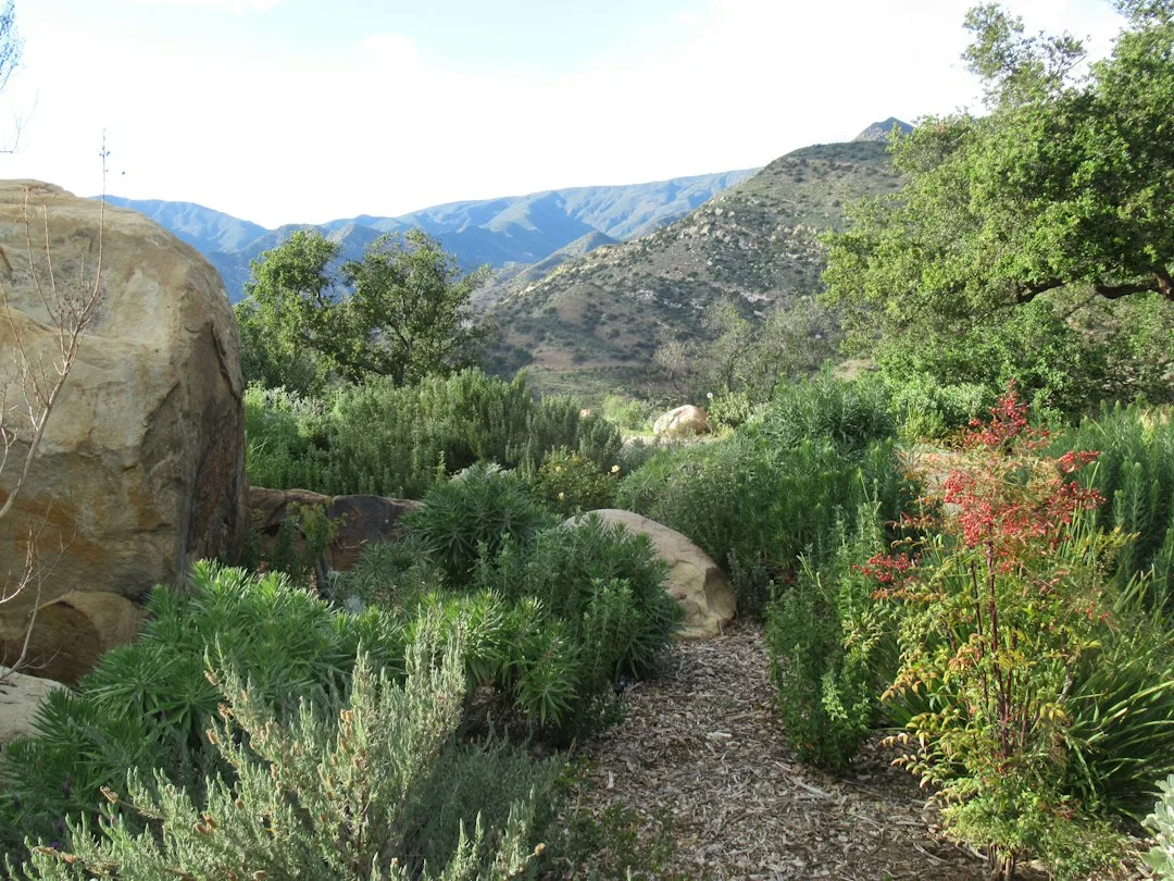 native plants drought landscape design — Landscape & Exterior perspective 2