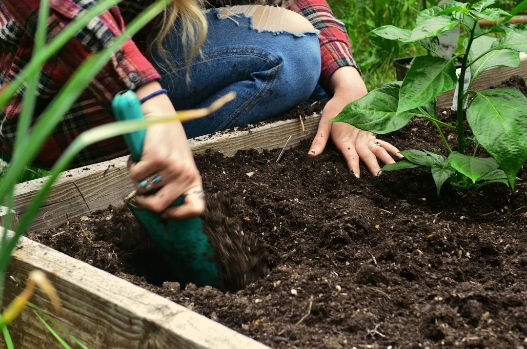 autumn bulb planting garden soil — Garden perspective 2
