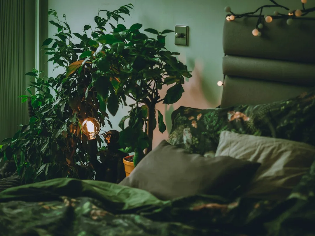 Floor-to-ceiling biophilic wall installation with trailing pothos plants and natural wood frame