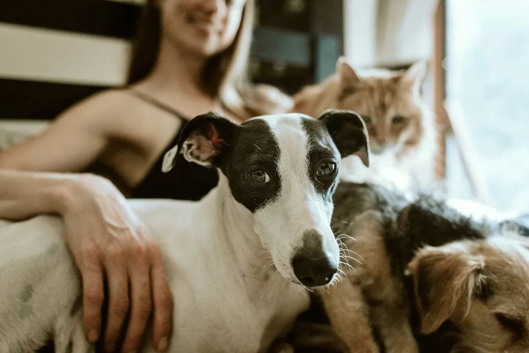 Enzyme-based pet odor eliminator system mounted on apartment wall near door