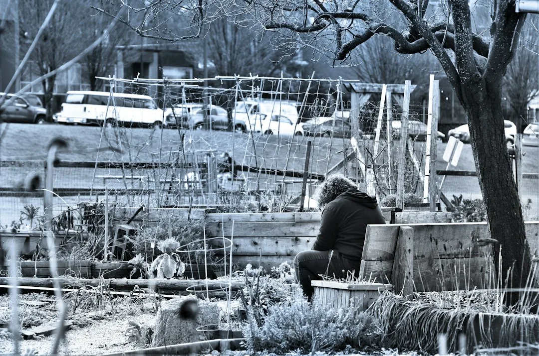 Gardener kneeling beside a waist-high raised garden bed while harvesting tomatoes in late summer